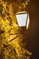 in der Kellergasse