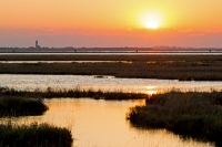 Sunset - Lio Piccolo (Lagune von Venedig, Italien)