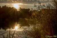 Sunset - Seethaler Lacke