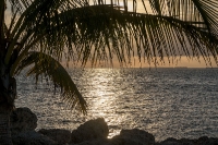 Florida Keys