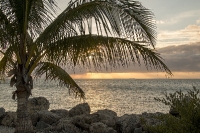 Florida Keys