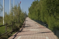 Union Lido