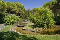 Union Lido