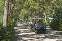 Union Lido
