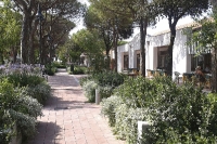 Union Lido