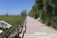Union Lido