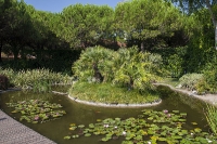 Union Lido