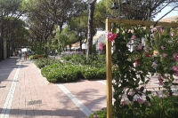Union Lido