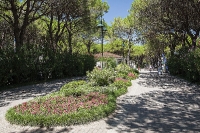 Union Lido